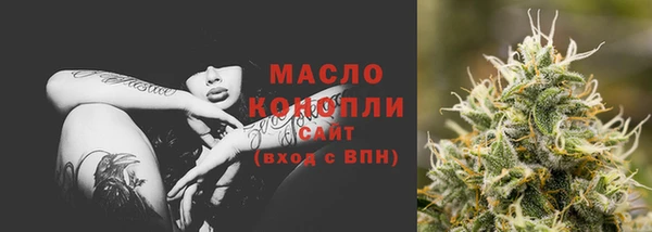 тгк Абаза